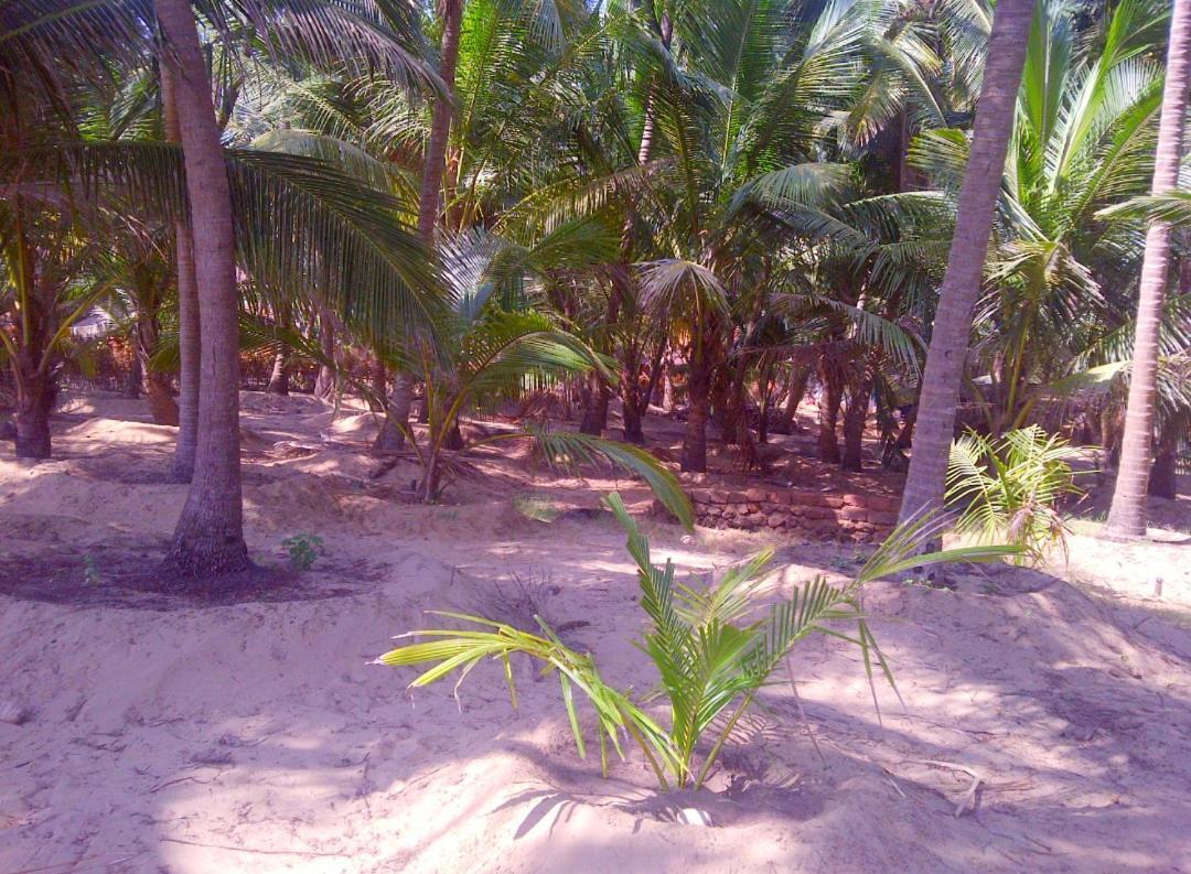 Samant Beach Resort Malvan Exterior photo