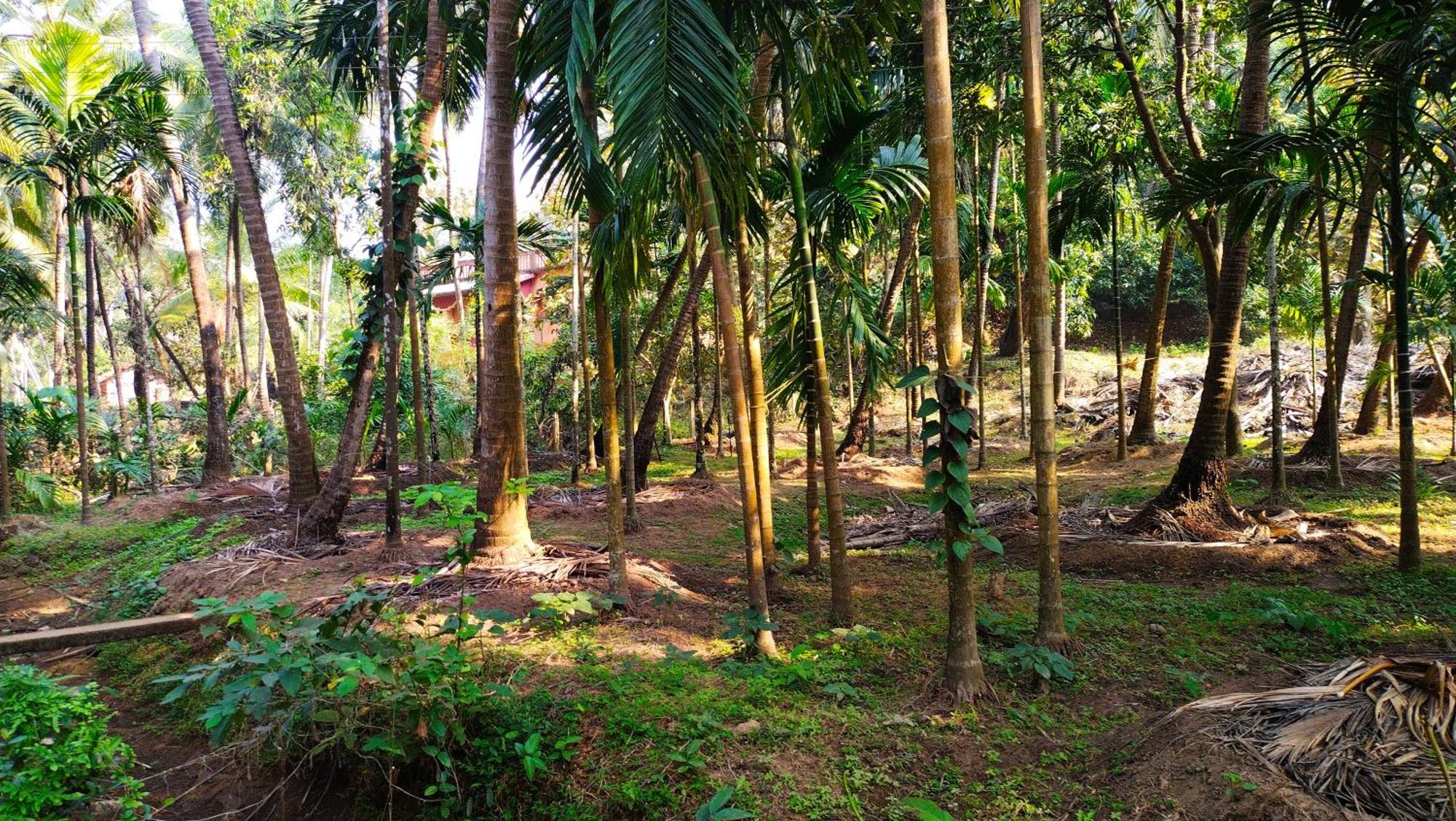 Samant Beach Resort Malvan Exterior photo