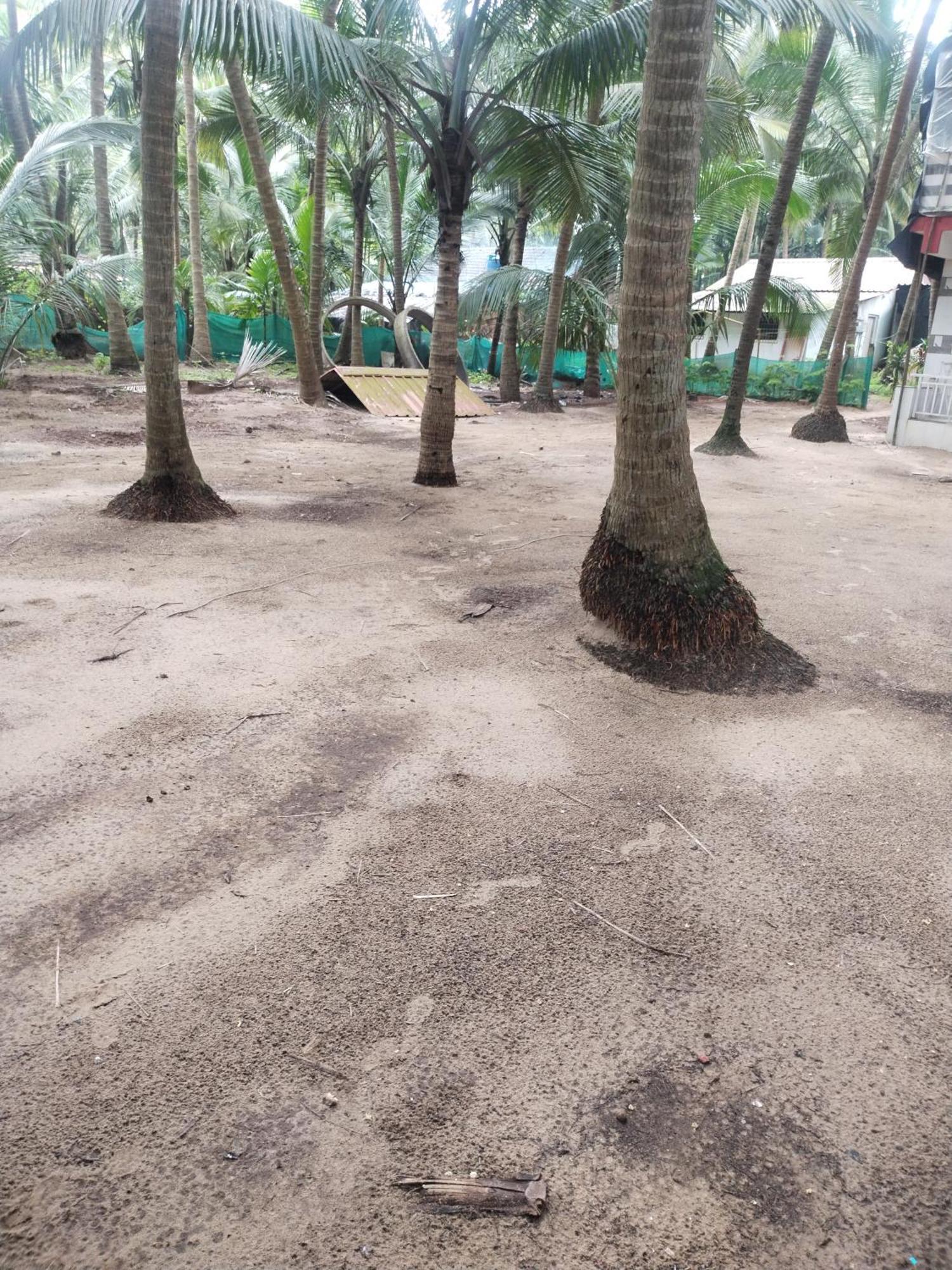 Samant Beach Resort Malvan Exterior photo